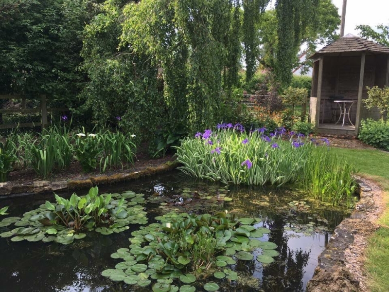 Primrose Bank Garden and Nursery